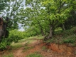 Foto14