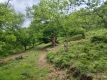 Foto15