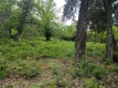 Foto16
