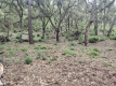 Foto8