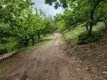 Foto9