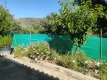Foto3