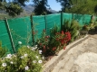 Foto9