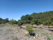 Foto47