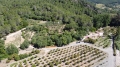 Foto5