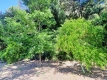 Foto51