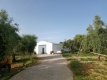 Foto2