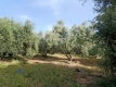 Foto3