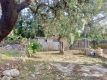 Foto5