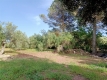 Foto6