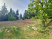 Foto10