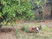 Foto42