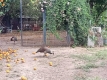 Foto43