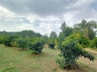 Foto47