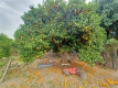 Foto48