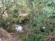 Foto51