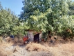 Foto14