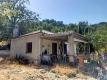 Foto15