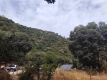 Foto19