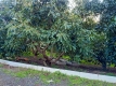 Foto5