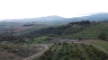 Foto2