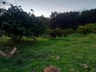 Foto18
