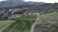 Foto3