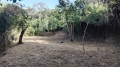 Foto12