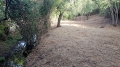 Foto13