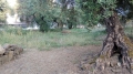 Foto14
