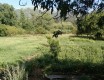 Foto2