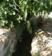 Foto14