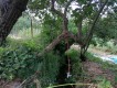 Foto15
