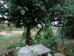 Foto21