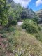 Foto9