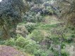 Foto17