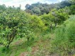 Foto19