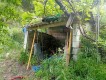Foto20