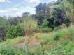 Foto21