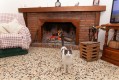 Foto20