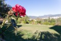 Foto6