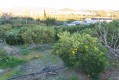 Foto52