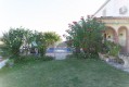 Foto8