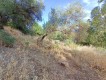 Foto12