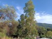 Foto15