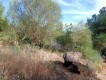 Foto16