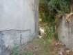 Foto7
