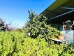 Foto8