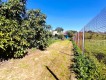 Foto9