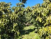 Foto10